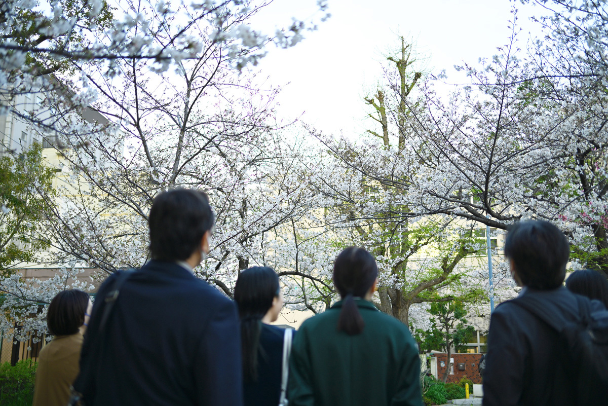お花見&食事会を開催しました🌸