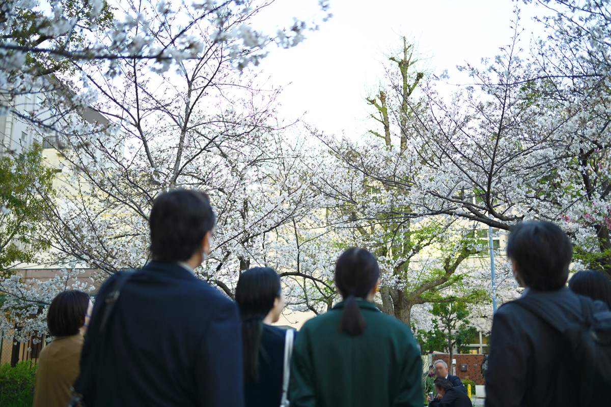 お花見&食事会を開催しました🌸